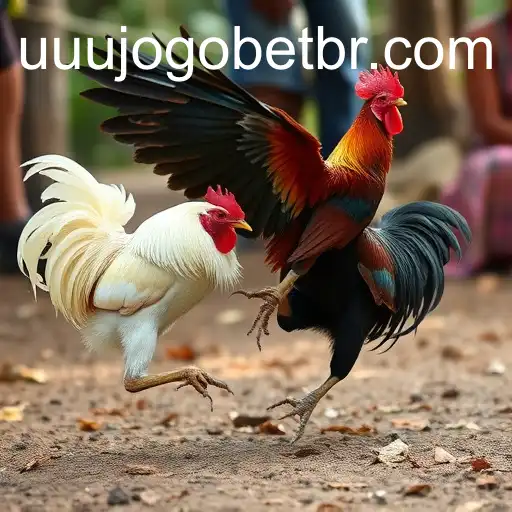 Exploring Sabong Games and the Rise of Online Accessibility